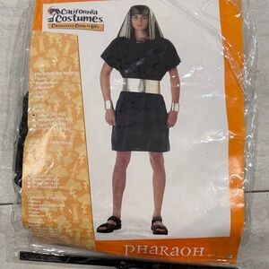 California Costumes Black and Silver Pharaoh Costume Small (38-40)